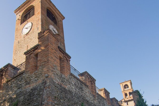 3 Hour E-bike Tour with Parmesan and Balsamic Vinegar - From cheese wheels to traditional balsamic vinegar