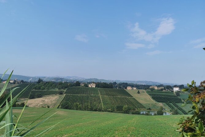 3 Hour E-bike Tour with Parmesan and Balsamic Vinegar - Who will enjoy this experience most?