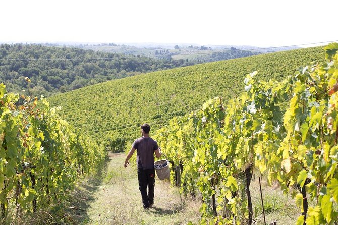 4 Wines Tasting with 2 Tuscan Cheeses & Tour at the winery - Getting there from Florence