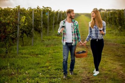 8 Hour Ontario Wine Tour with Cheese and Charcuterie