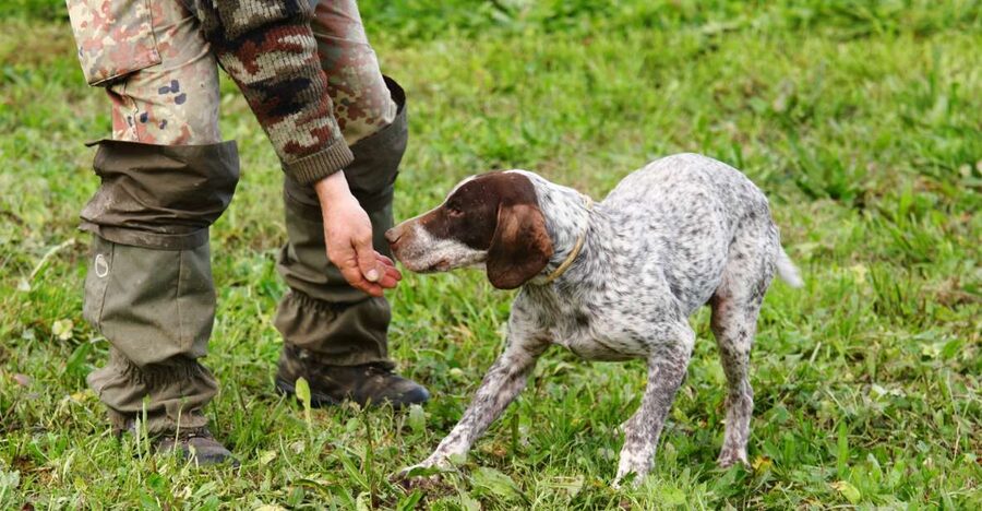 Alba: Truffle Hunting with Cheese, Truffle, & Wine Tastings - White and black truffles, explained without the fuss