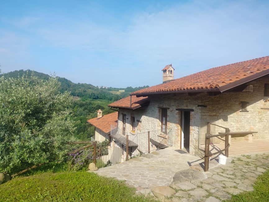 Alba: Truffle Hunting with Cheese, Truffle, & Wine Tastings - Who should book this experience