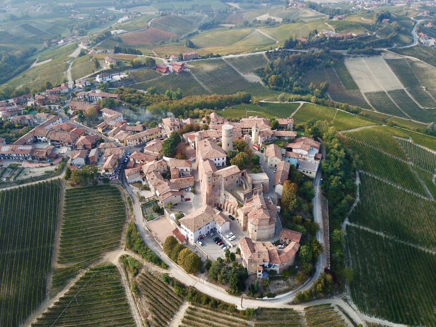 Alba: Truffle Hunting with Cheese, Truffle, & Wine Tastings - Walking the woods near Monforte d’Alba