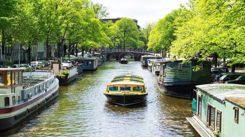 Amsterdam canal cruise with culinary burger or cheese & wine - Magere Brug and the eastern canals