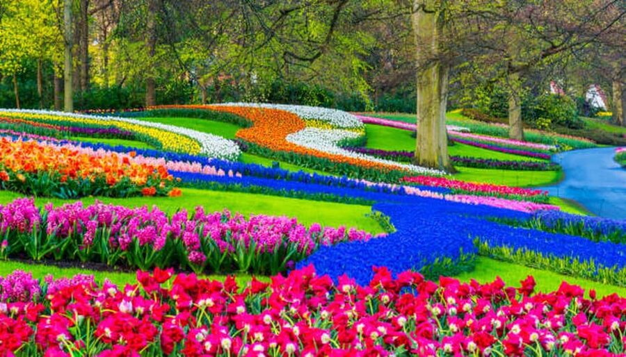Amsterdam: Cheese, Clogs, Flowers and Windmills Tour - Keukenhof: 3.5 hours in the spring gardens