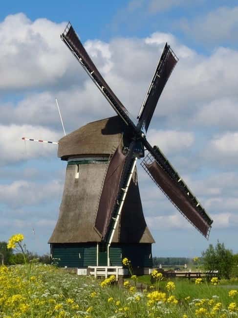 Amsterdam: Cheese, Clogs, Flowers and Windmills Tour - Should you book the cheese, clogs, flowers and windmills tour?