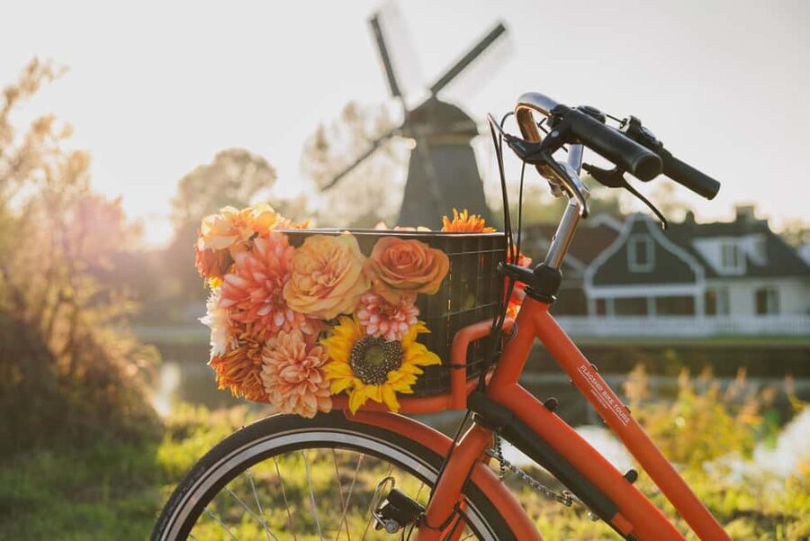 Amsterdam: Cheese Tasting, Windmill & Countryside Bike Tour - Ransdorp and the quieter village roads