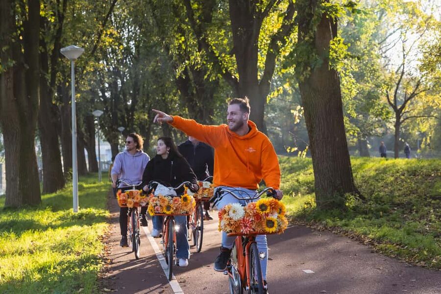 Amsterdam: E-Bike, Cheese, Windmill & Countryside Tour - Who should book this countryside tour?