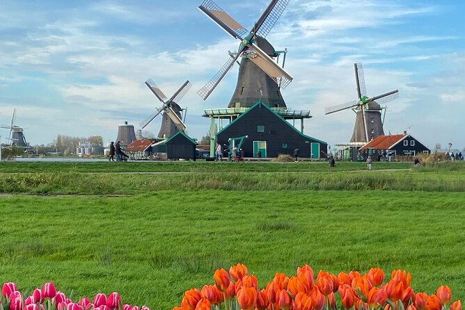 Amsterdam: Experience Edam, a Cheese Tasting, and a Windmill - Edam and the Reality of Dutch Cheese