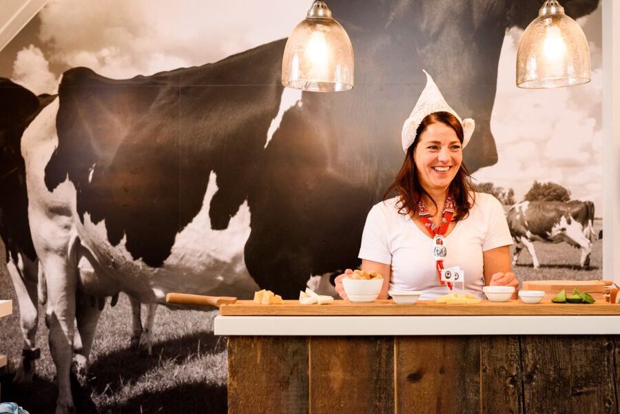 Amsterdam: Premium Henri Willig Cheese Tasting Experience - Key points to know before booking