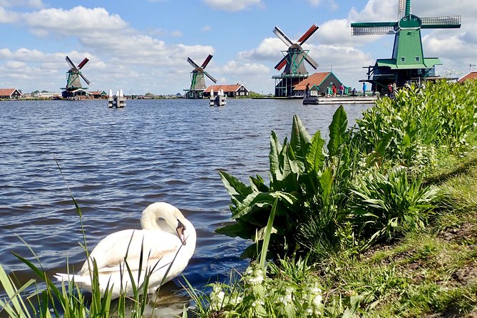 Amsterdam private tour to windmills, cheese farm and villages - Zaanse Schans: more than a row of windmills