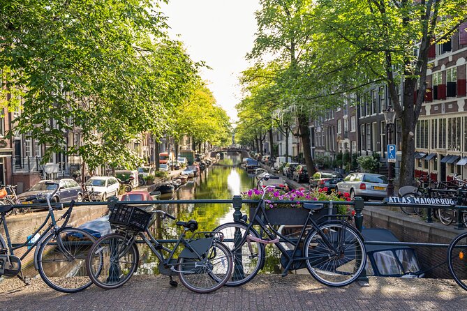 Amsterdam Walking Tour and Cruise with Drinks and Cheese Tasting - Price, group size, and overall value