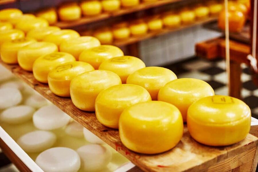 Amsterdam: Zaanse Schans, Cheese Tasting & Volendam Tour - Practical planning for a smoother day