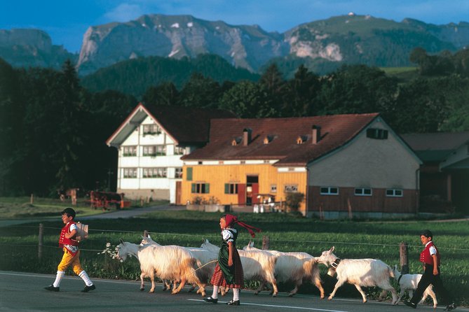 Appenzell Alps Day Trip from Zurich – Farm Life & Cheese Tasting - Appenzeller cheese at the Stein show dairy