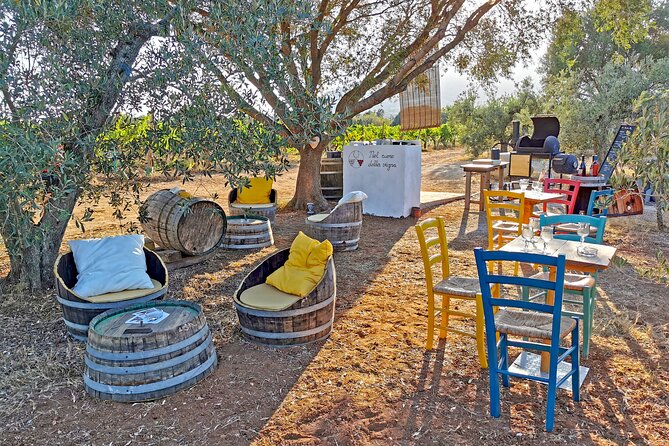 Archeology, visit to a vineyard and wine and pecorino cheese tasting - A simple booking and cancellation tip