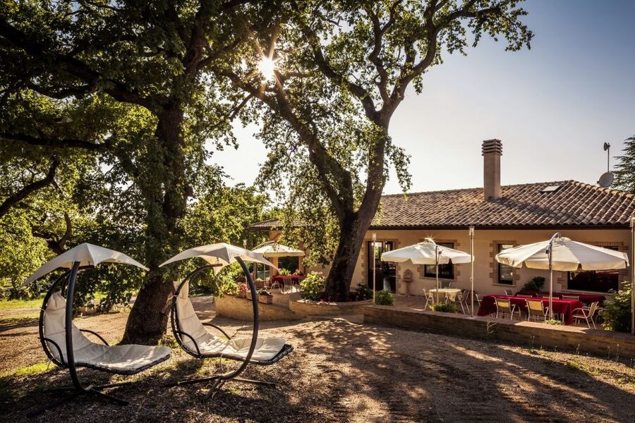 Assisi: Organic Wine and Cheese Tasting - A calm wine stop outside Assisi