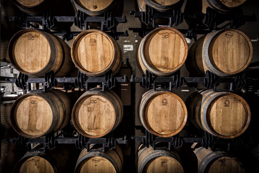 Assisi: Organic Wine and Cheese Tasting - Umbrian food on the tasting table