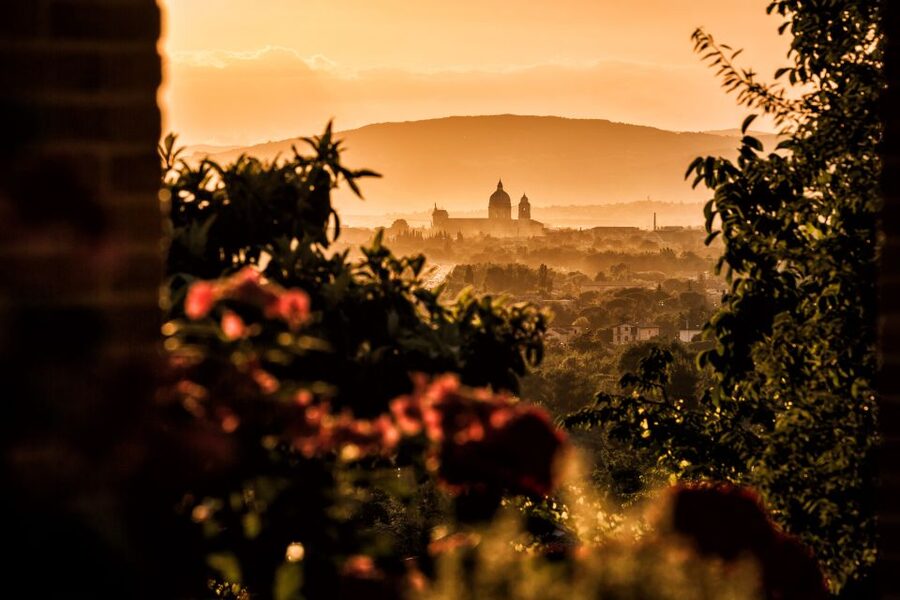 Assisi: Organic Wine and Cheese Tasting - Who will enjoy this tasting most?