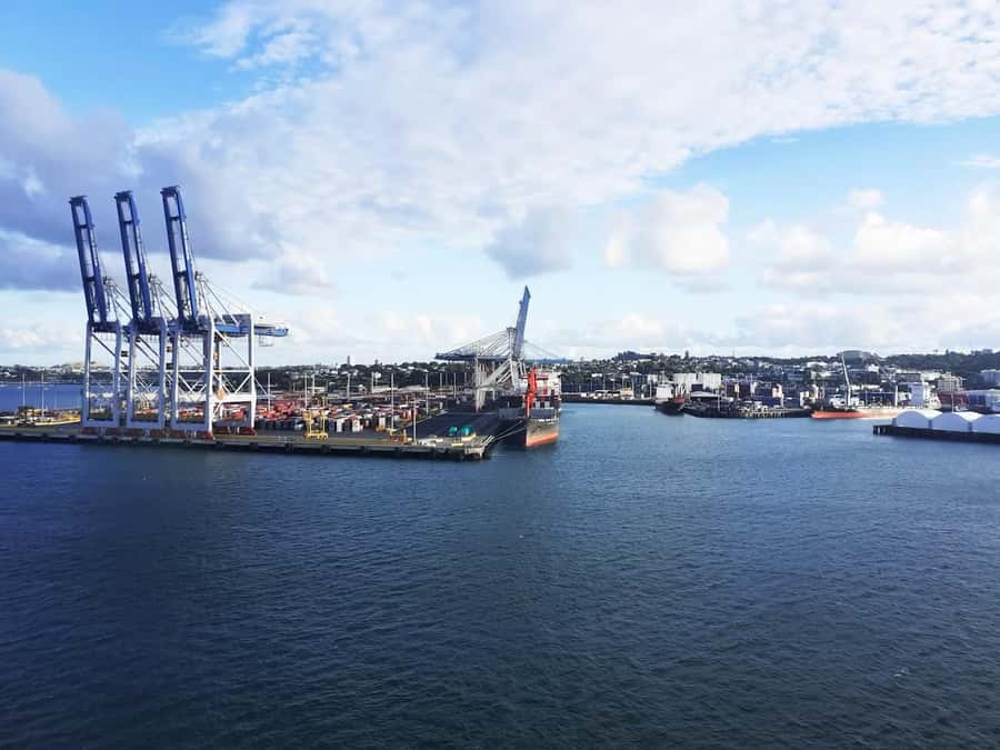 Auckland: Scenic Wine and Cheese Harbour Cruise - Bean Rock Lighthouse and the Smaller Details