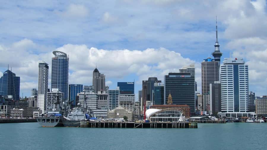 Auckland: Scenic Wine and Cheese Harbour Cruise - Cheese, Charcuterie, Wine, and Beer