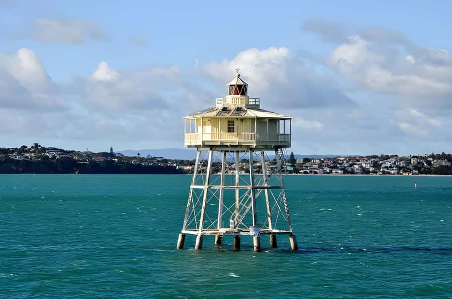 Auckland: Scenic Wine and Cheese Harbour Cruise - The Mood Onboard
