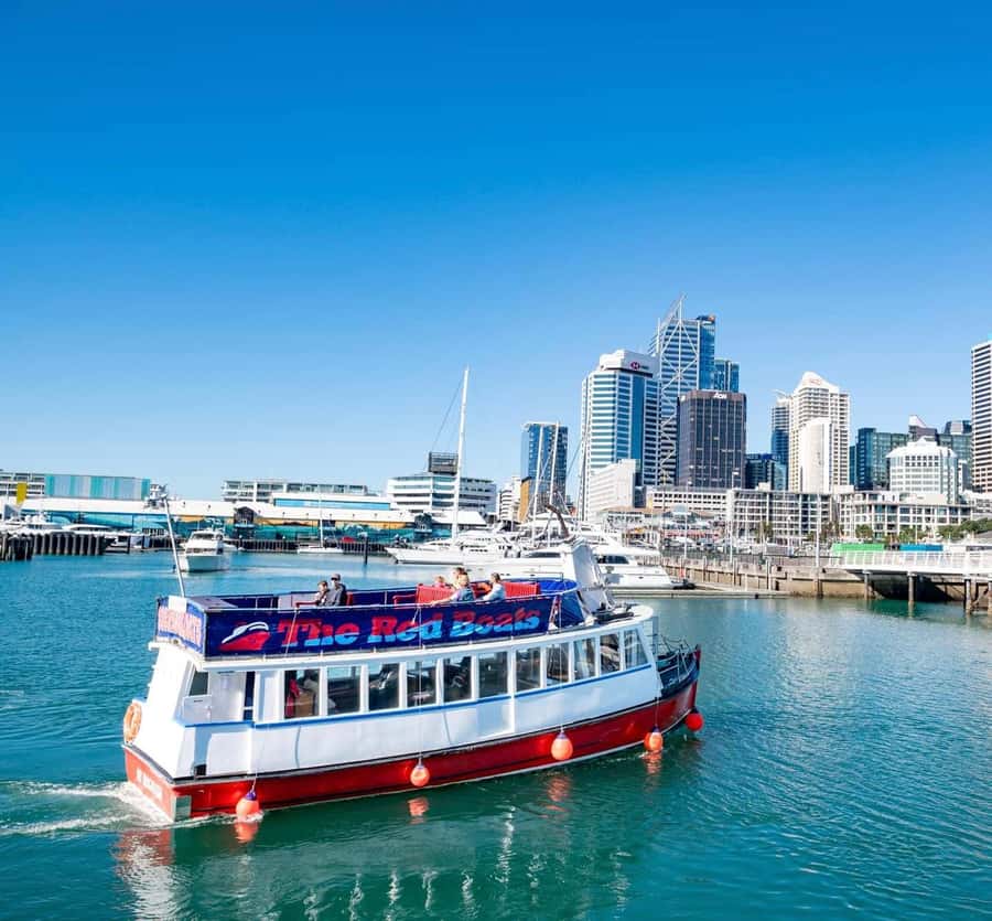 Auckland: Scenic Wine and Cheese Harbour Cruise - Should You Book the Auckland Wine and Cheese Cruise?