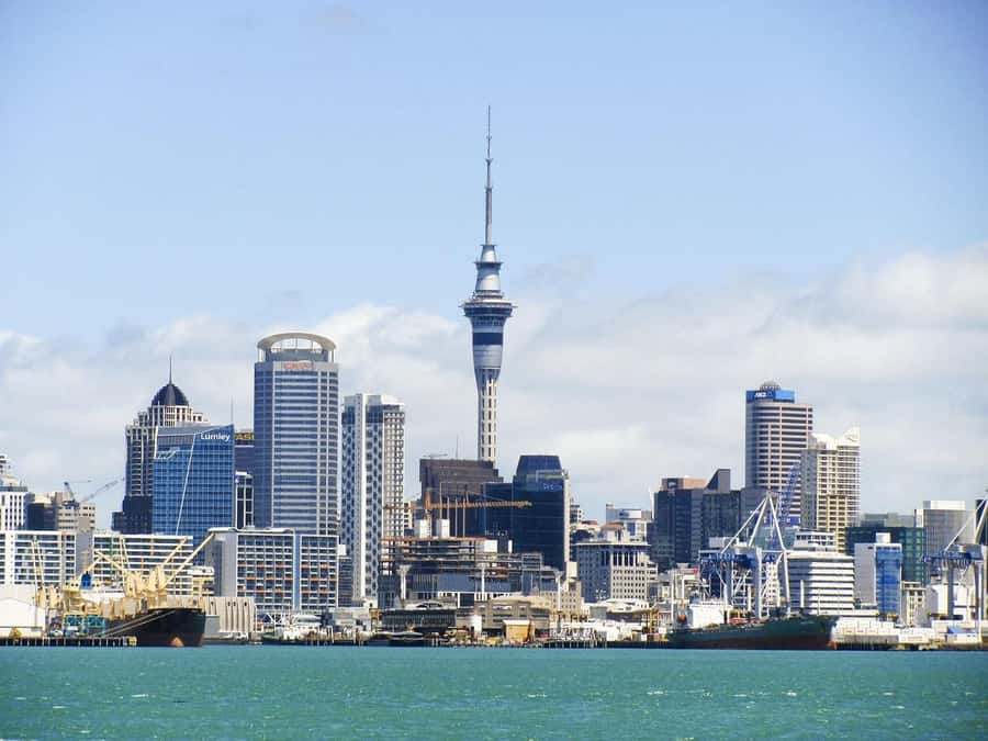 Auckland: Scenic Wine and Cheese Harbour Cruise - Rangitoto Island from the Water
