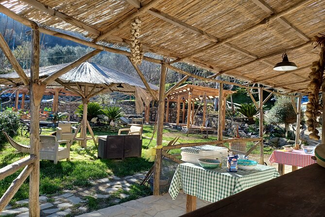 Authentic Farm Tour with Pizza, Cheese, Wine & Limoncello Tasting - Arriving at Primaluce above Sorrento