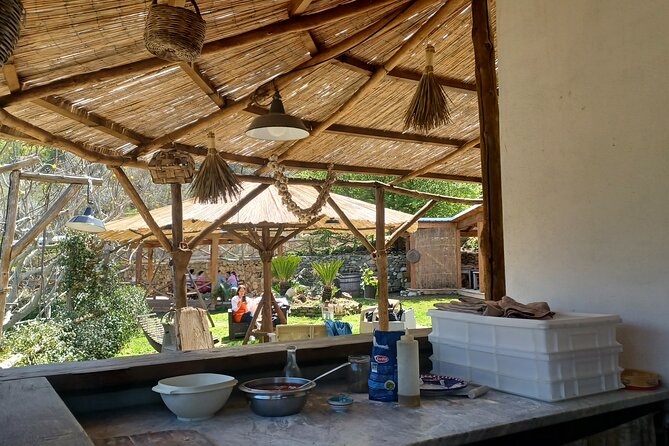 Authentic Farm Tour with Pizza, Cheese, Wine & Limoncello Tasting - A full farm lunch, not just a tasting