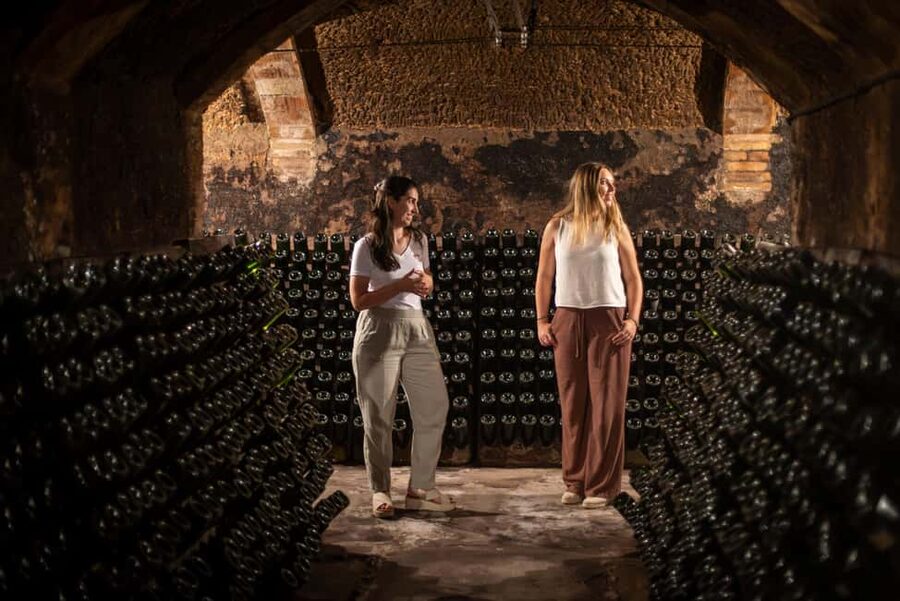 Barcelona: Cavas Hill - Winery Tour & Cheese Tasting - A cava visit between three Catalan highlights