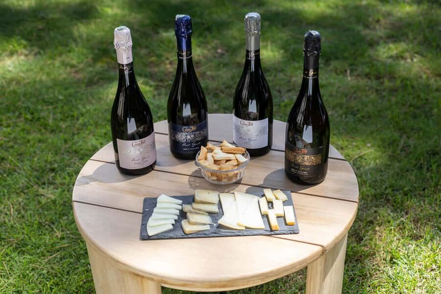 Barcelona: Cavas Hill - Winery Tour & Cheese Tasting - Walking the vineyards and reading the climate