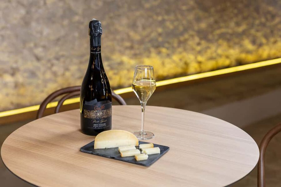 Barcelona: Cavas Hill - Winery Tour & Cheese Tasting - Practical points before you go