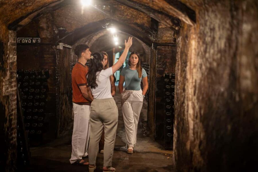 Barcelona: Cavas Hill - Winery Tour & Cheese Tasting - Should you book this Cavas Hill tour?