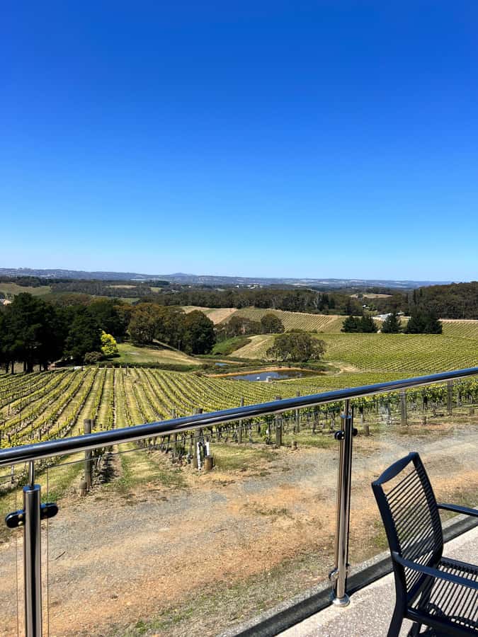 Barossa Valley Gourmet Food & Wine Tour - Chateau Tanunda and Barossa winemaking