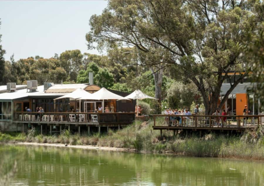 Barossa Valley: Maggie Beer's Wine Tasting & Cheese Platter - What the farmshop adds to the visit