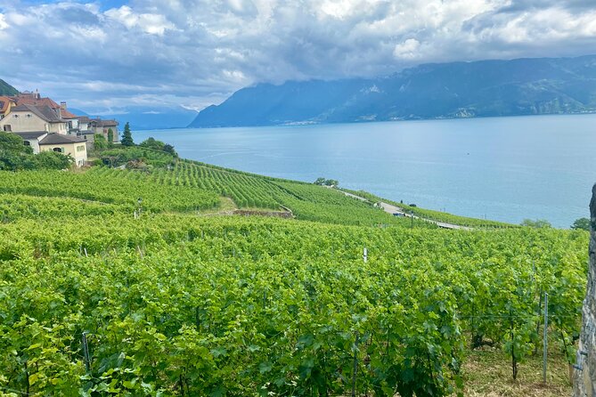 Bern Private Tour - Gruyères , Cheese, and Lavaux's UNESCO Wine - Gruyères Village and Château de Gruyères