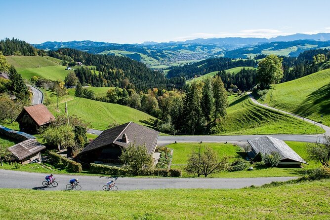 Bern Small-Group Day Trip from Lucerne With Emmental Dairy Visit - What the $245.37 price covers