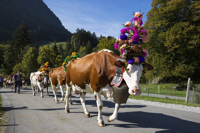 Berne the Capital and Cheese paradise Emmental (Private Tour) - What makes the day feel authentic
