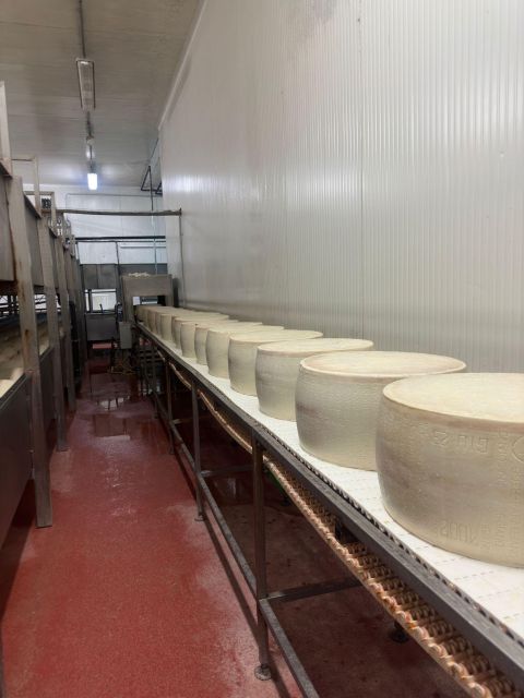 Bologna:Ferrari, Parmigiano, Balsamic Day Trip w/Light Lunch - What the $334.19 price includes