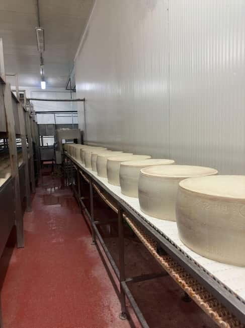 Bologna/Modena: Parmesan,Ferrari, Balsamic,Wine Tour w/Lunch - A full day built around Emilia-Romagna’s signature flavors