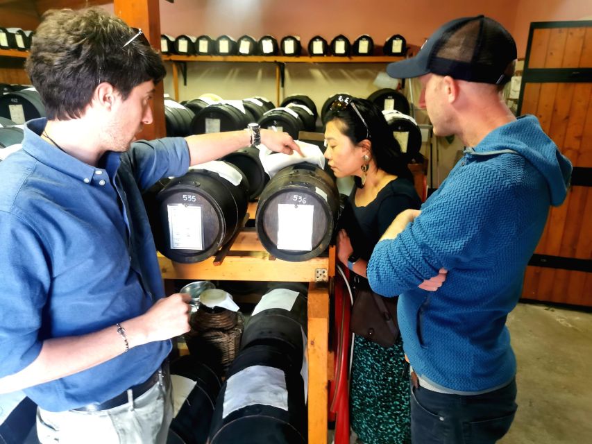Bologna: Parmigiano, Wine and Balsamic Vinegar experience - Seeing Parmigiano Reggiano while it is made