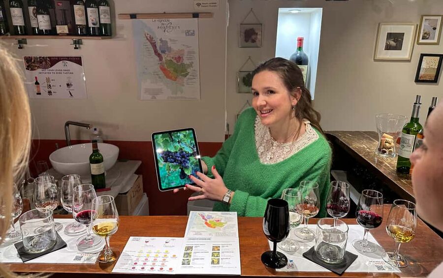 Bordeaux wines : tasting with 4 white wines and cheeses - Where the tasting takes place near Avenue Thiers