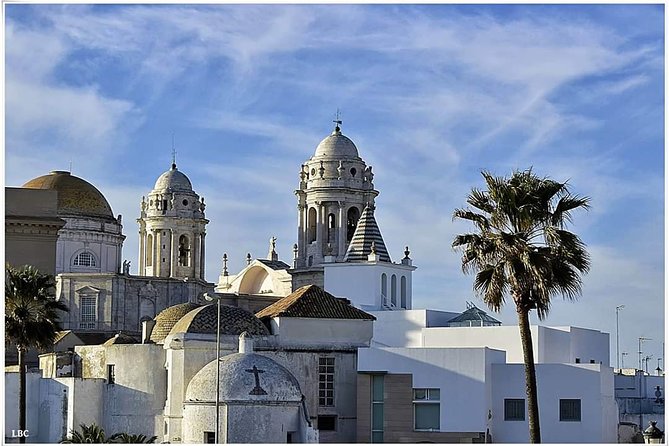 Cadiz Shore Excursion: Scenic & walking tour with cheese and sherry tasting - The sherry and cheese finish