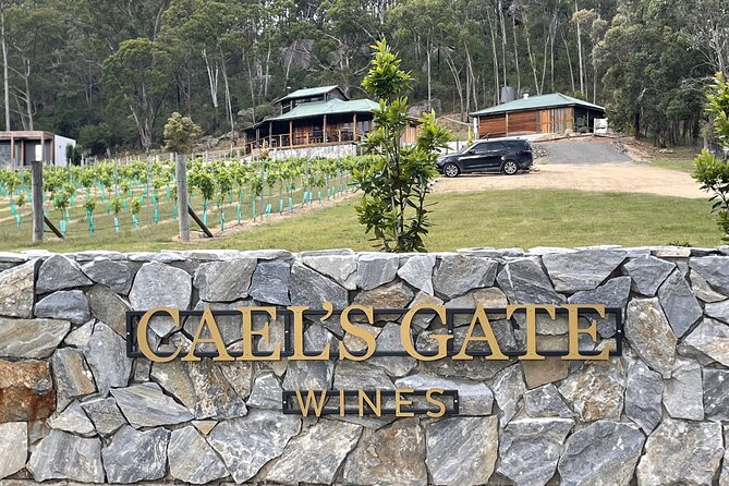 Cael’s Gate Wine and Cheese Tasting in Hunter Valley - A host-led visit with room for conversation