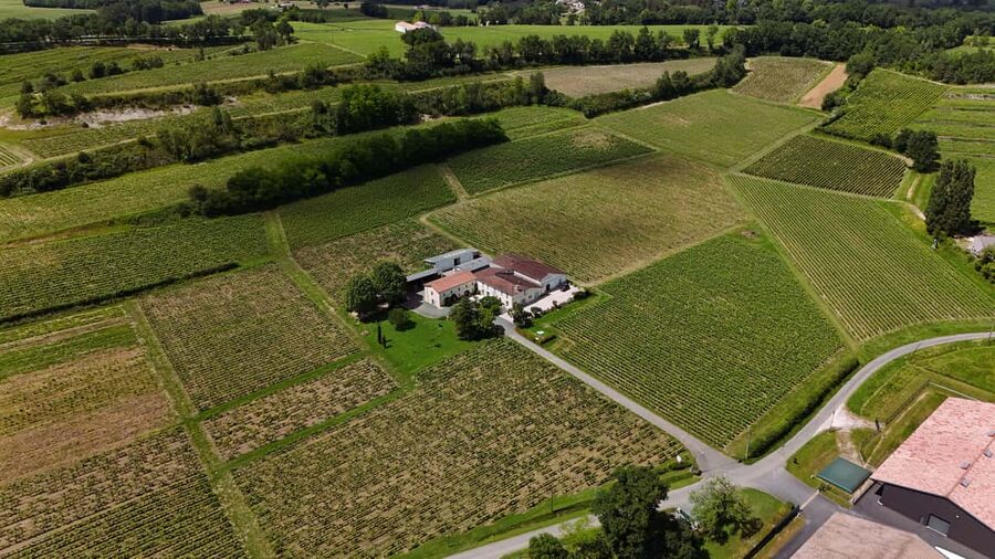Château Petit Mangot's aperitif: charcuterie, cheeses, and wines - Key points to know before booking