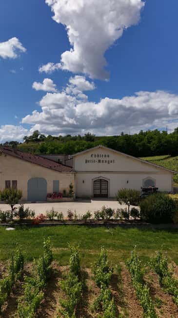 Château Petit Mangot's aperitif: charcuterie, cheeses, and wines - Three Saint-Émilion reds in the glass