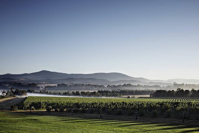 Chauffeured Cheese and Wine Tour with 3 Course Lunch - For 2 - Should you book this Yarra Valley tour?