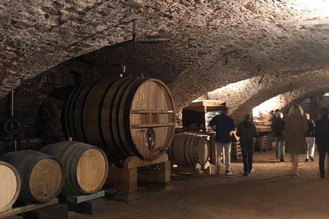 Cheese and Wine Accord Tour at Château de Champ-Renard - Four wines matched with four matured cheeses