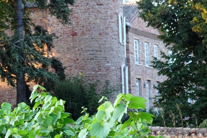 Cheese and Wine Accord Tour at Château de Champ-Renard - How the two-hour format works for you