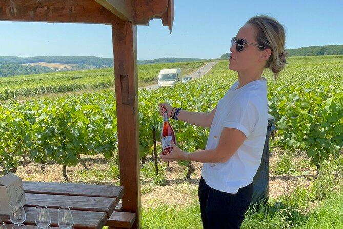 Cheese and Wine Pairing 1-Hour Session in Dijon - Who will get the most from this experience